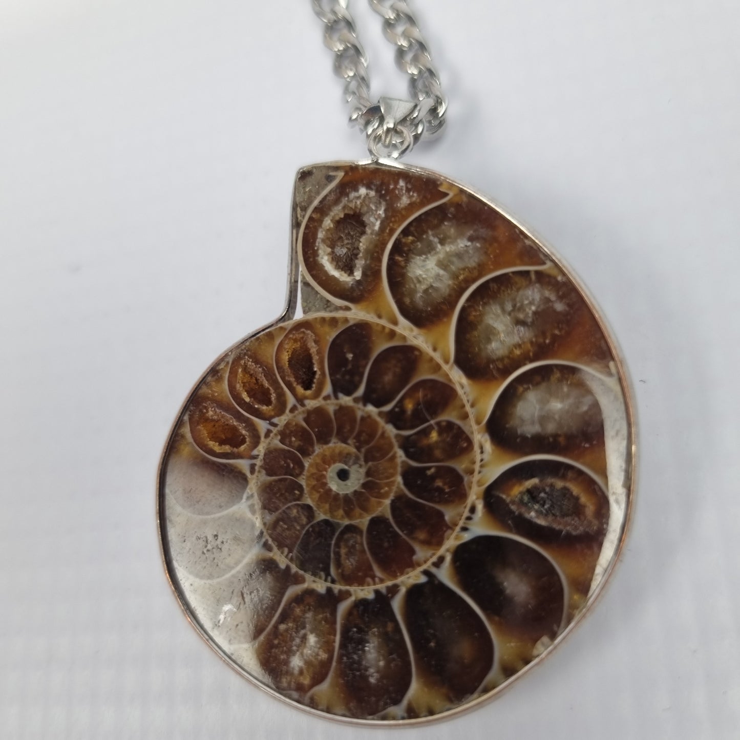 Ammonite Fossil Pendant Necklace