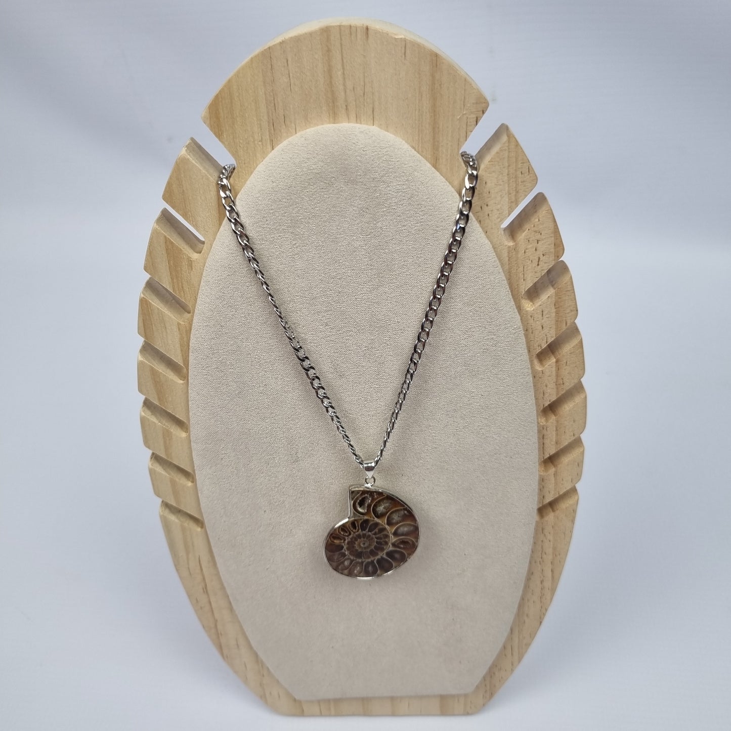 Ammonite Fossil Pendant Necklace