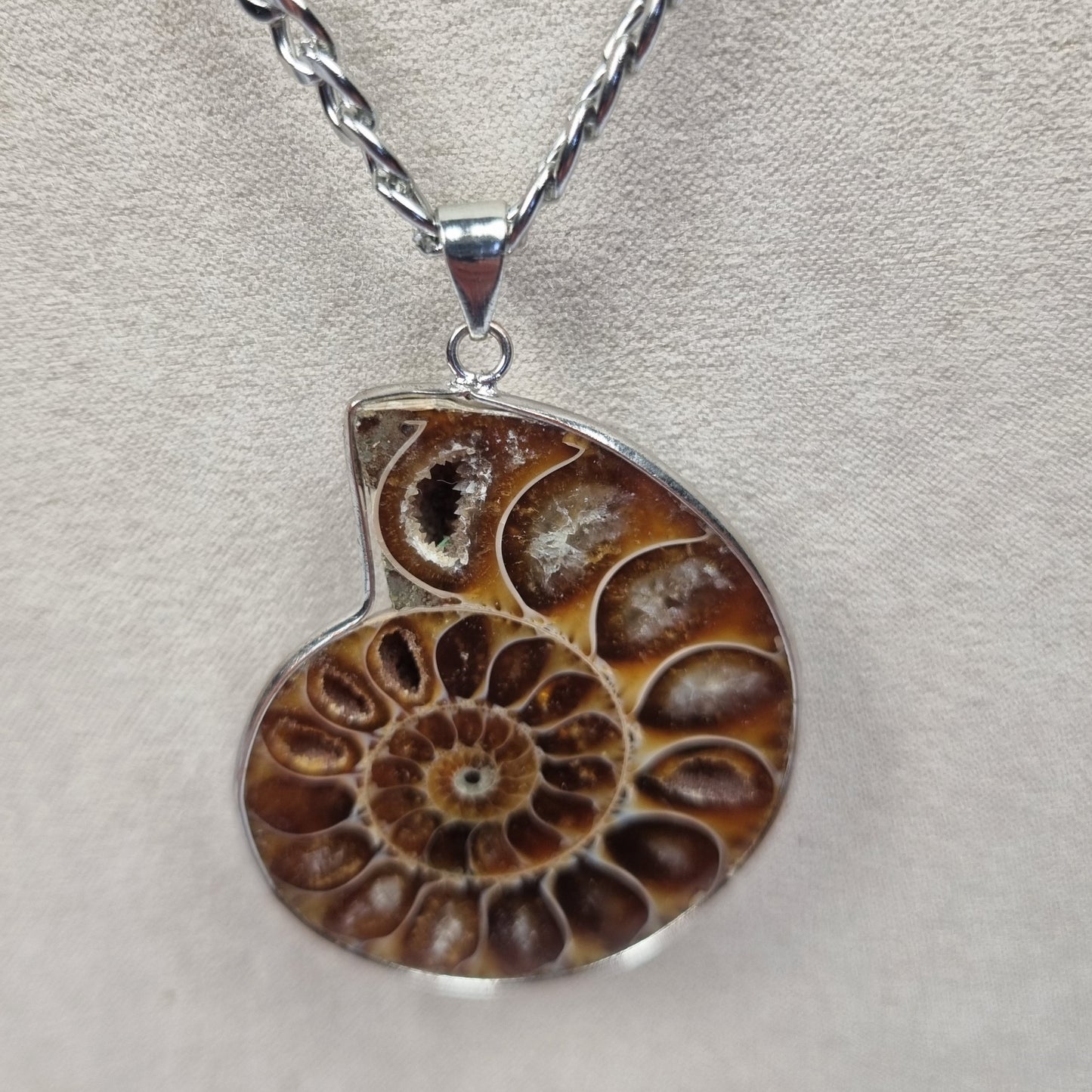 Ammonite Fossil Pendant Necklace