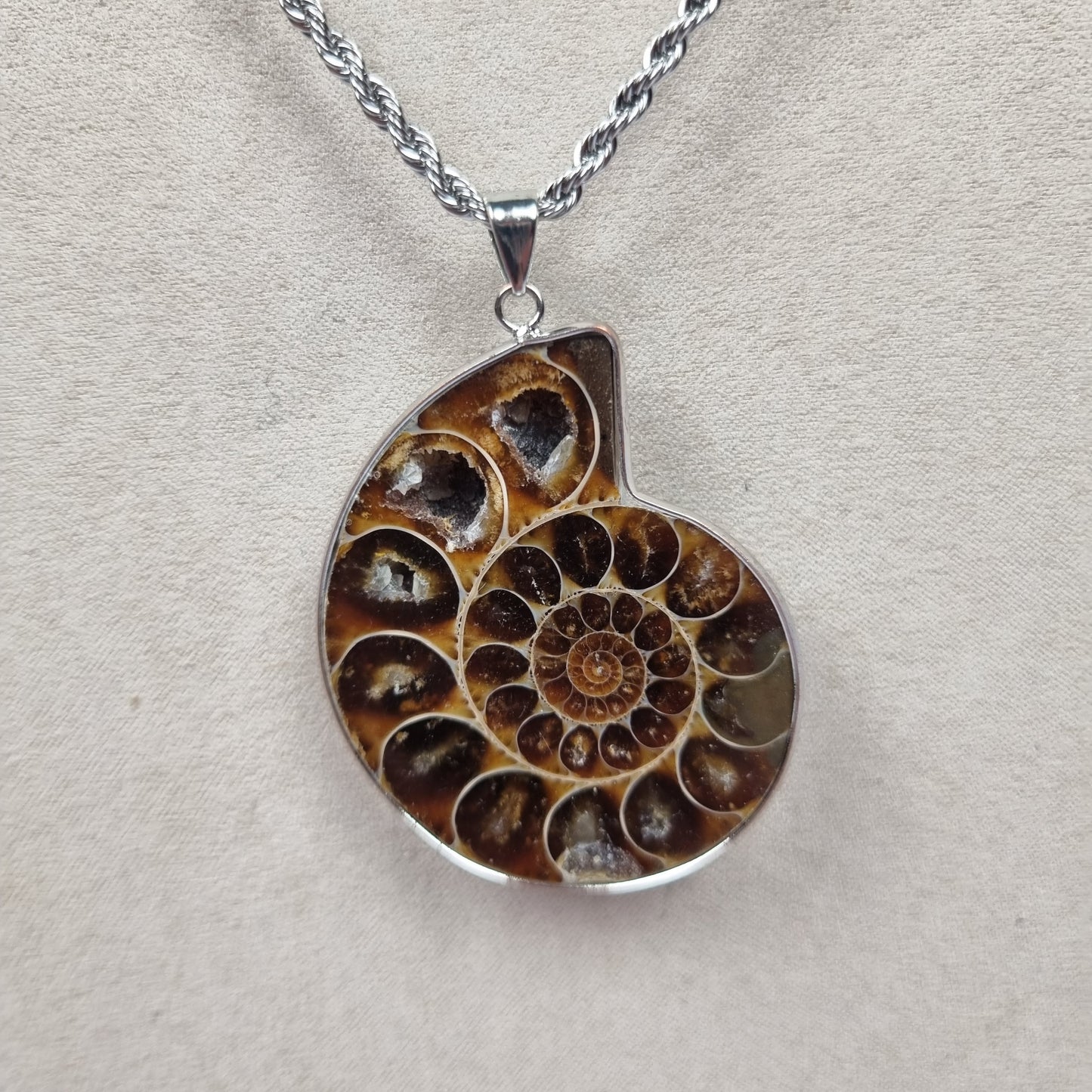 Ammonite Fossil Pendant Stainless Steel Necklace