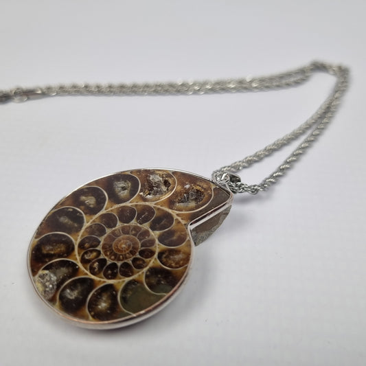 Ammonite Fossil Pendant Stainless Steel Necklace