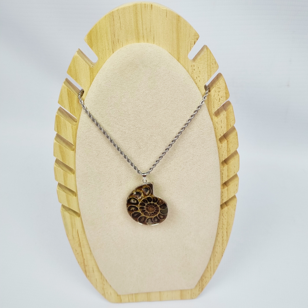 Ammonite Fossil Pendant Necklace