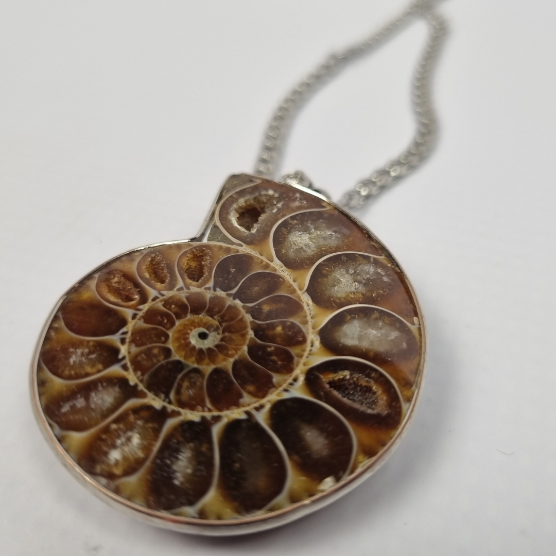 Ammonite Fossil Pendant Necklace